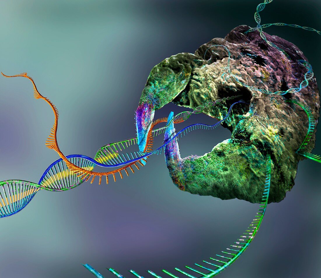 CRISPR-Cas9 gene editing complex, conceptual illustration
