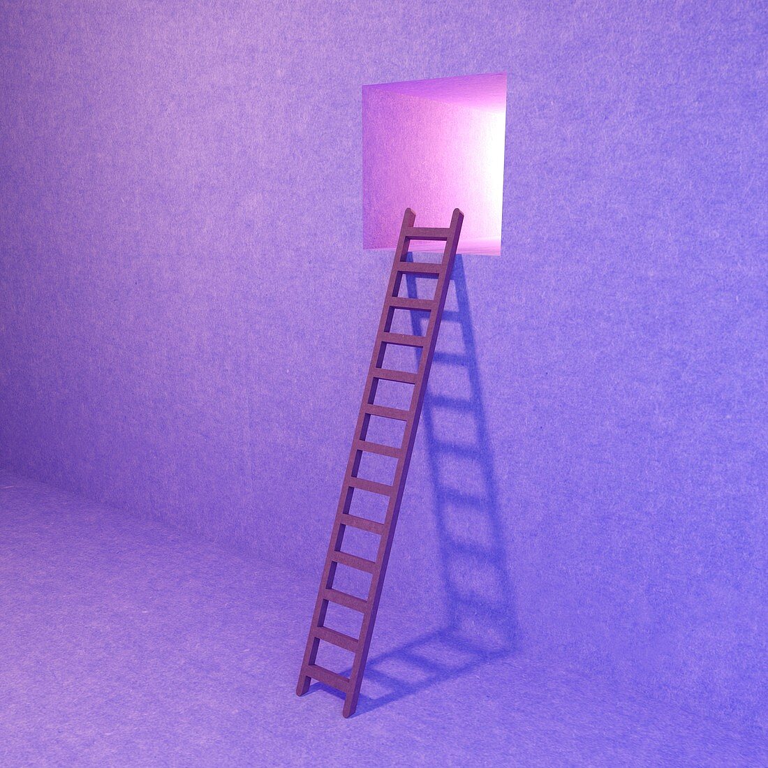 Ladder to window, artwork