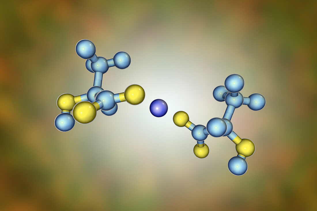 Calcium lactate, molecular model