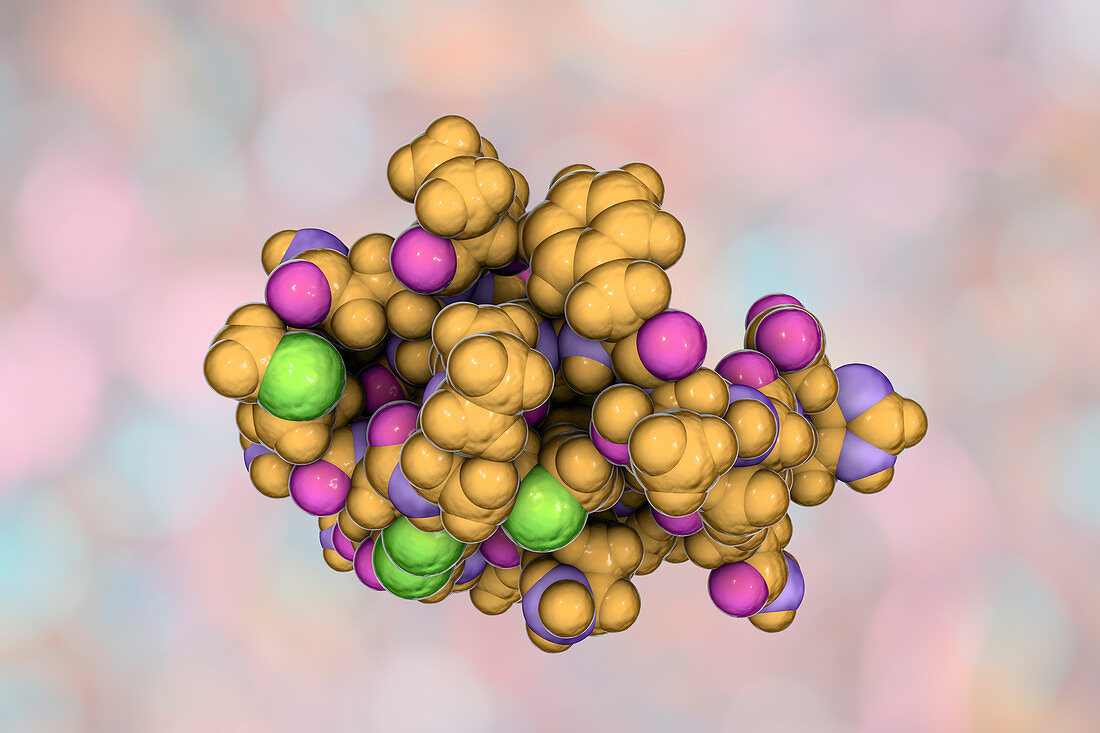 Molecule of scorpion chlorotoxin