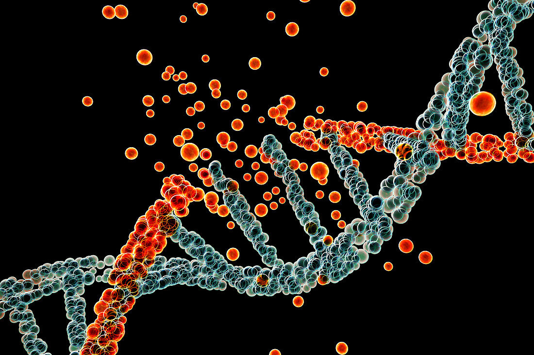DNA damage, illustration