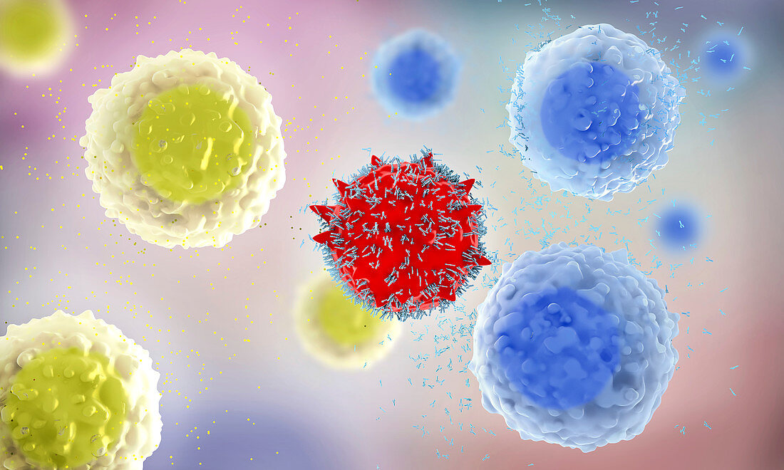 Immune response, illustration