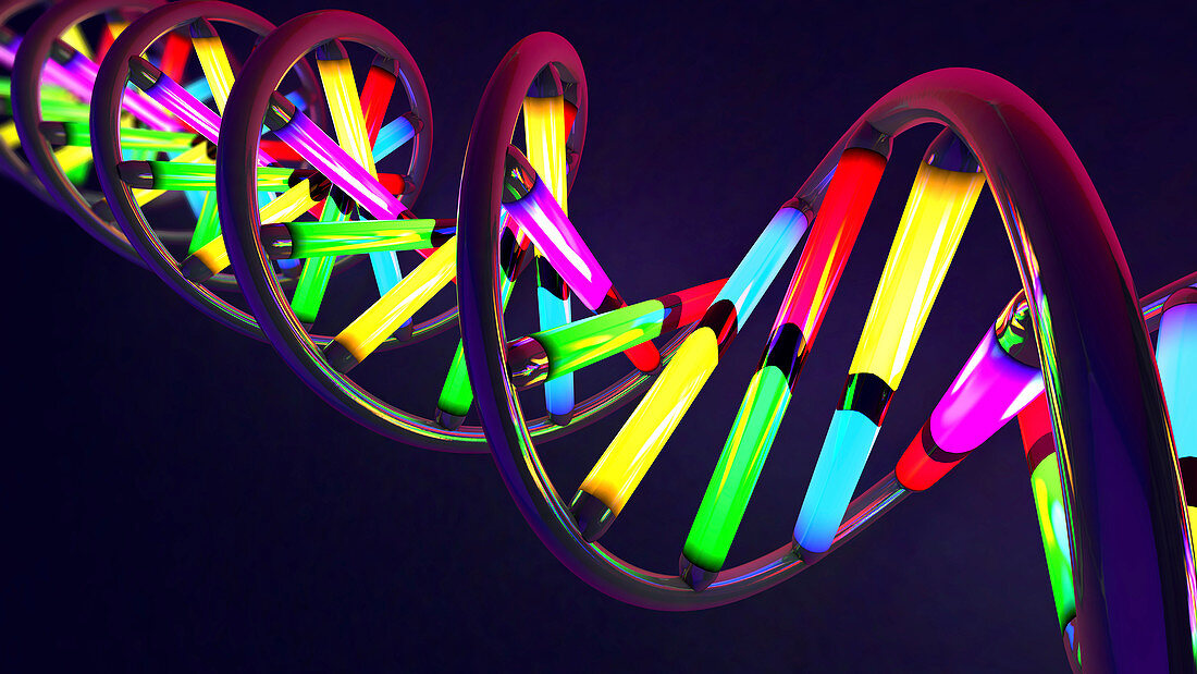 DNA molecule, illustration