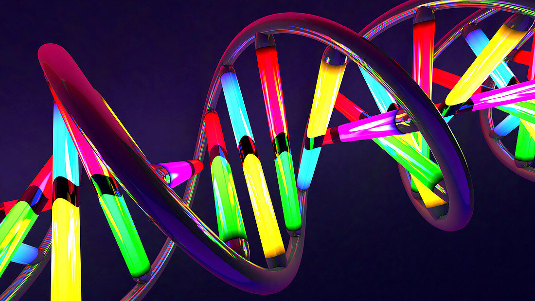 DNA molecule, illustration