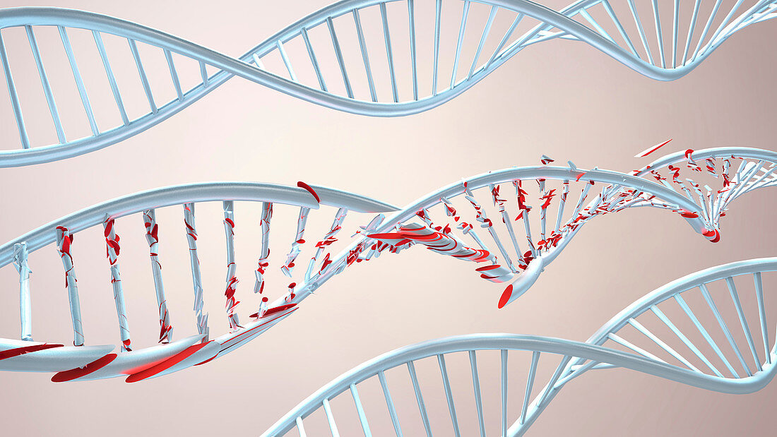 DNA molecules, illustration