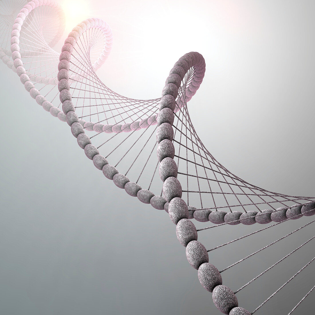 DNA molecule, illustration