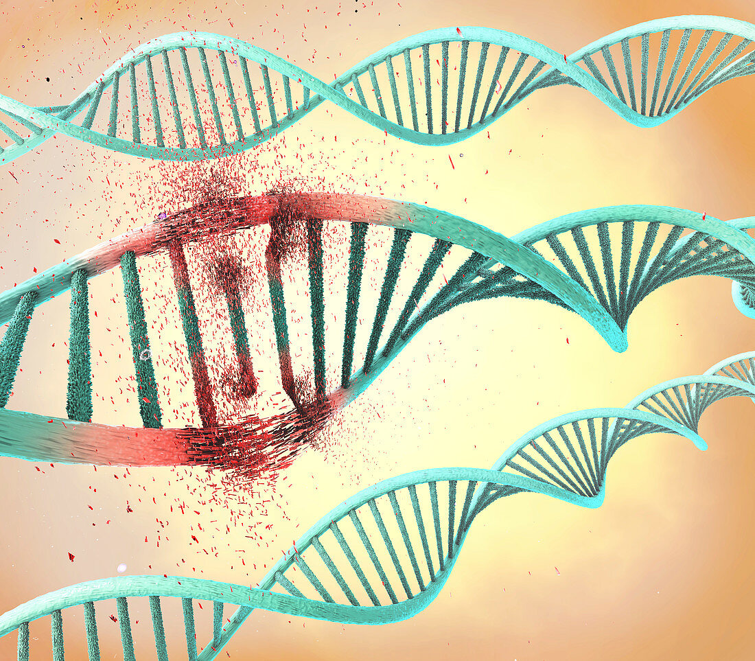 Damaged DNA molecule, illustration