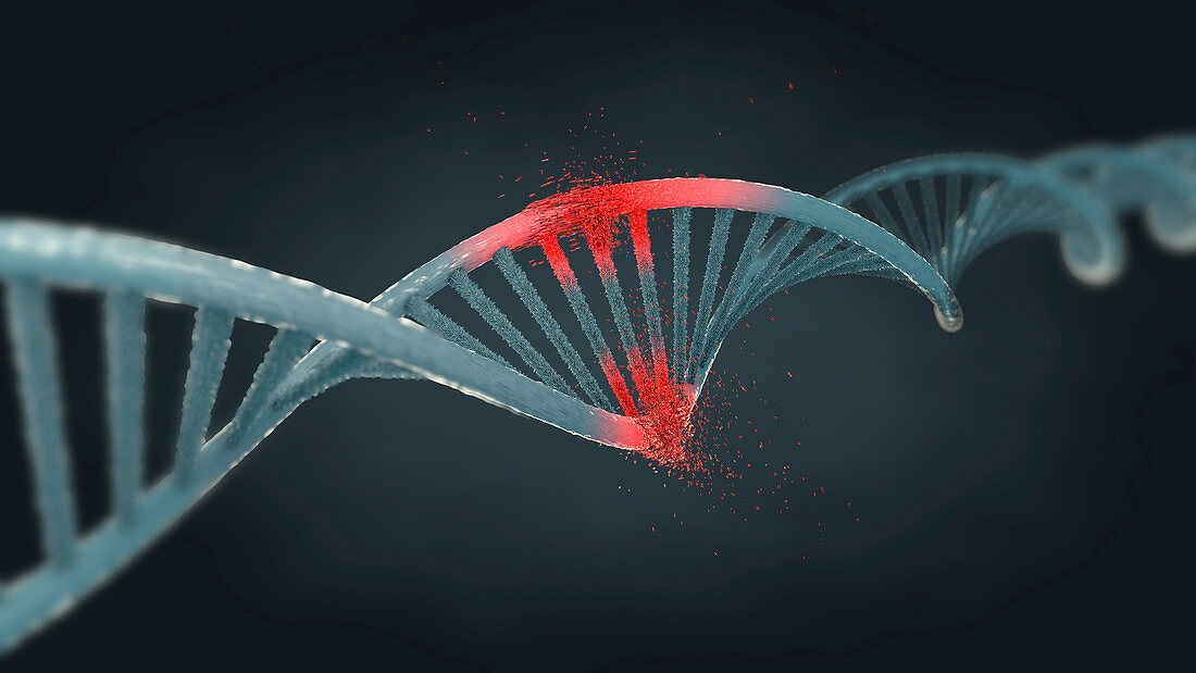 Damaged DNA molecule, illustration