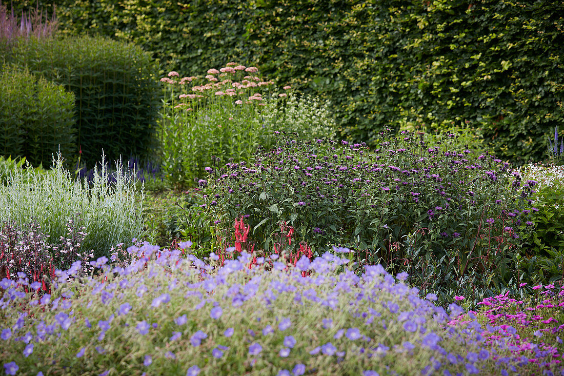 Perennial garden