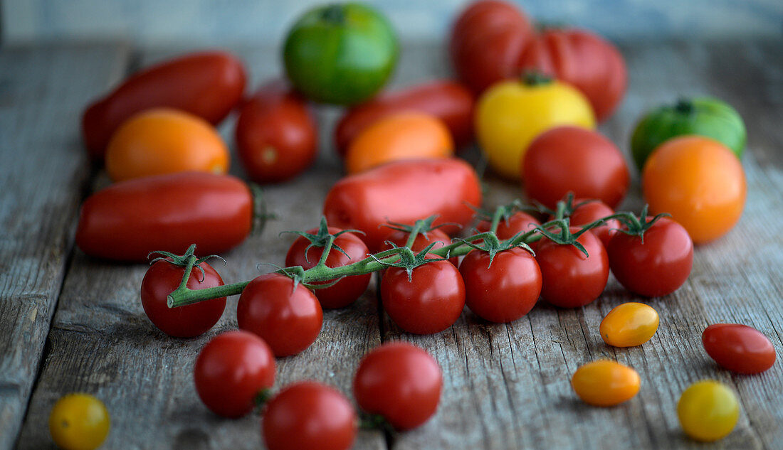 Verschiedene Tomaten auf Holzuntergrund