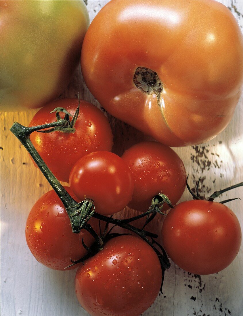 Einige Tomaten am Zweig & Fleischtomaten