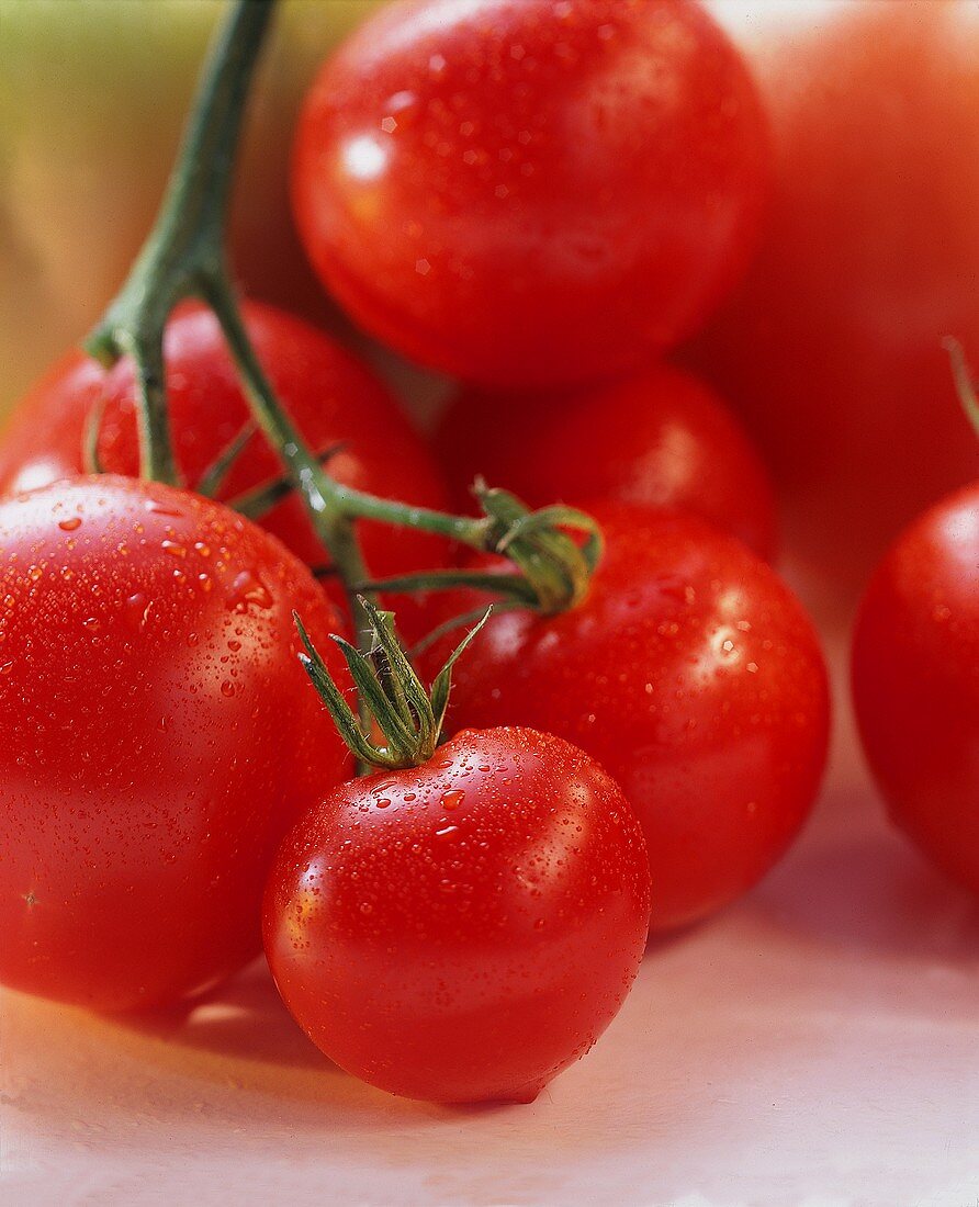 Fresh Tomatoes with Water Drops