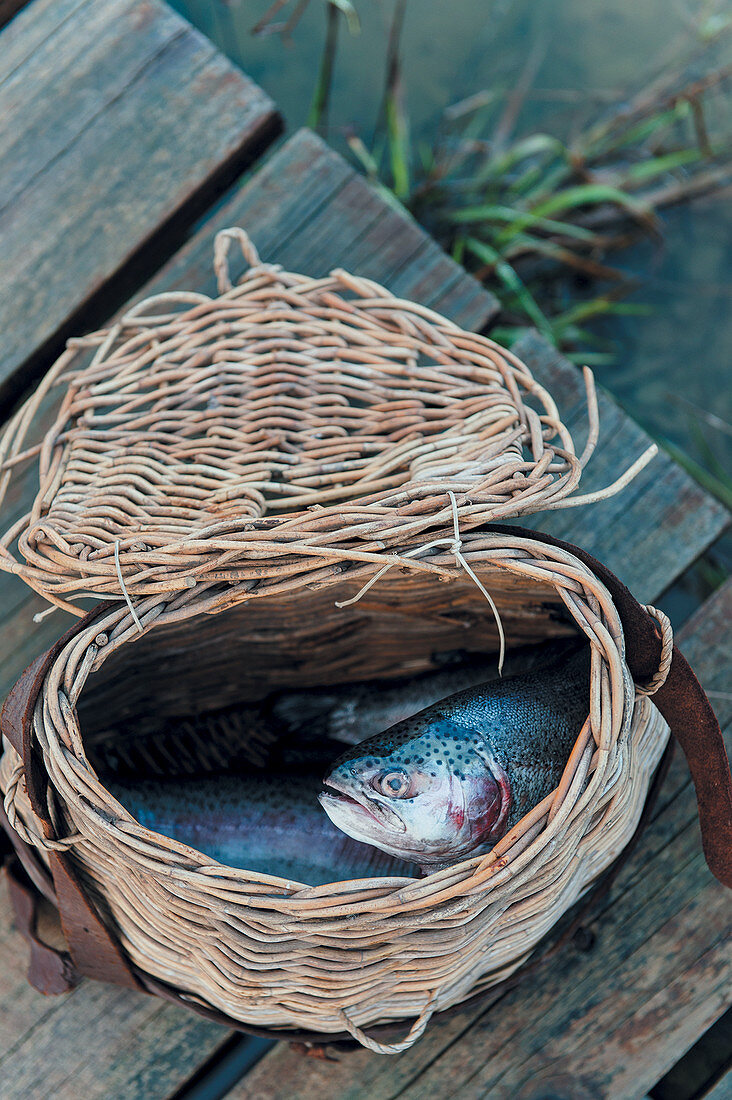 Fresh caught fish in a fishing basket