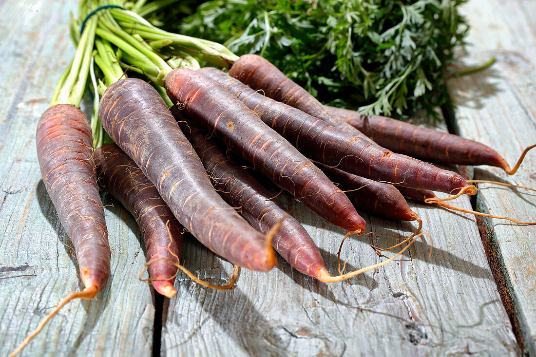 Fresh red carrots with leaves