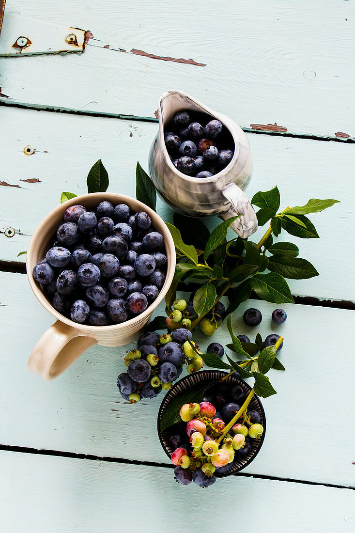 Frische Heidelbeeren mit Blättern