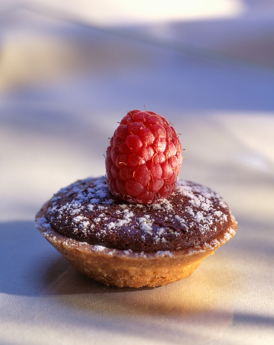 Chocolate tartlet with raspberry