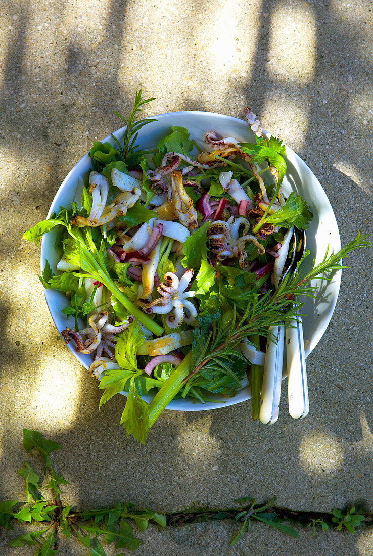 Grilled squid salad