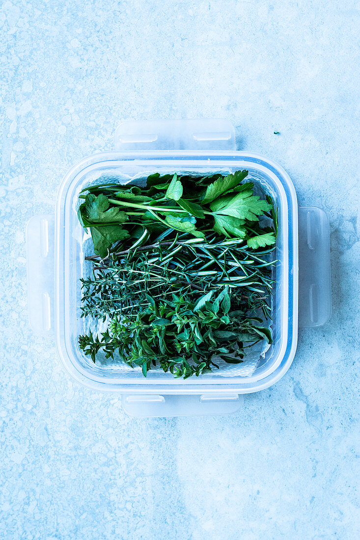 Herbs in a tupperware box