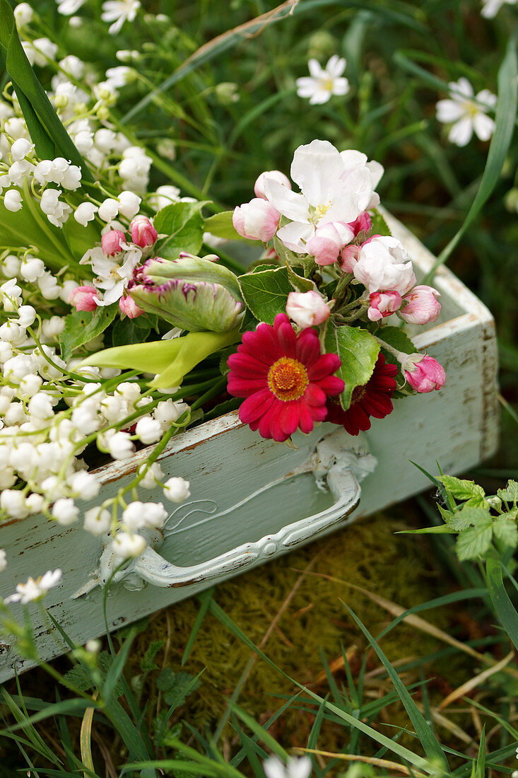 Strauß aus Maiglöckchen, Apfelblüten, roten Margeriten und Papageientulpe