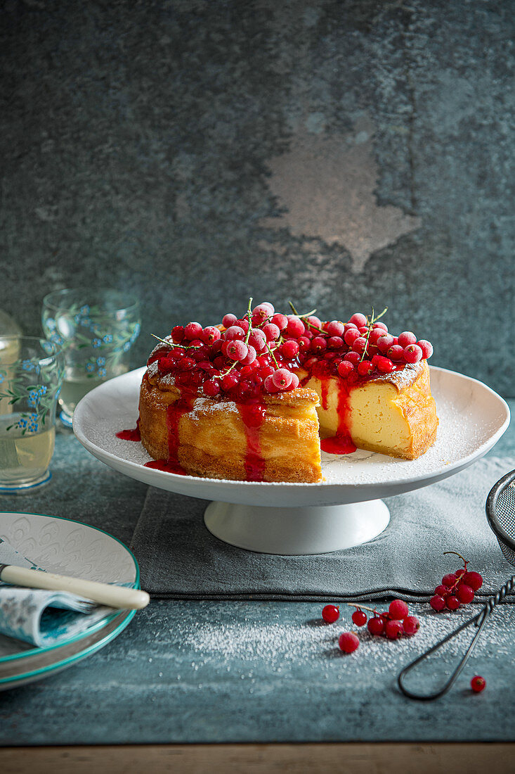 Baked vanilla cheesecake with redcurrant sauce