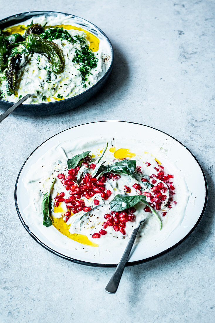 A duo of tzatziki (with courgette and roasted peppers and with spinach and pomegranate seeds)