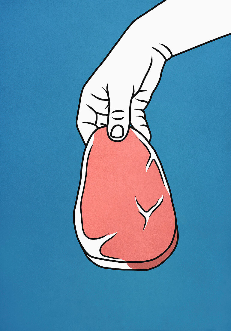 Hand holding raw steak (Illustration)