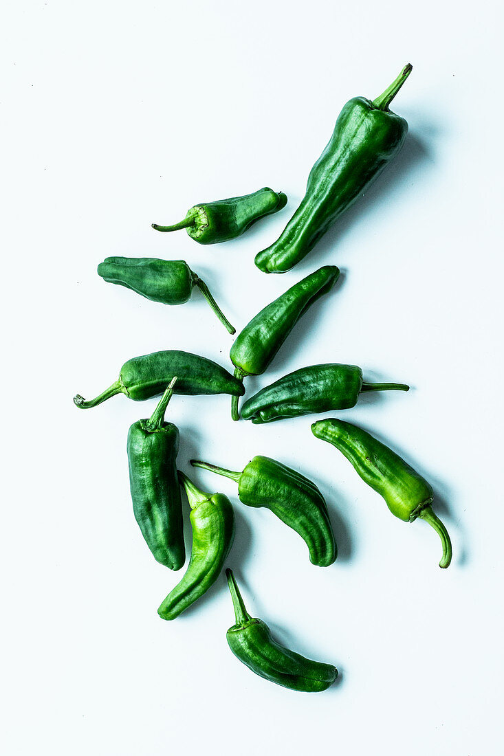 Bratpaprika (Pimientos De Padron)