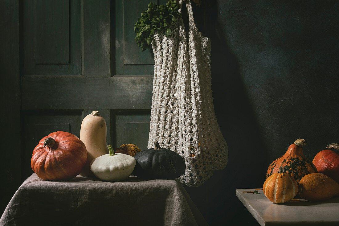 Variety of colorful pumpkins, edible and decorative, standing on kitchen table, with oregano greens