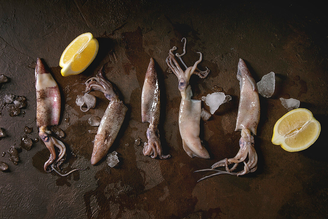 Raw uncooked squids calamari in row with ice and lemon over dark texture background