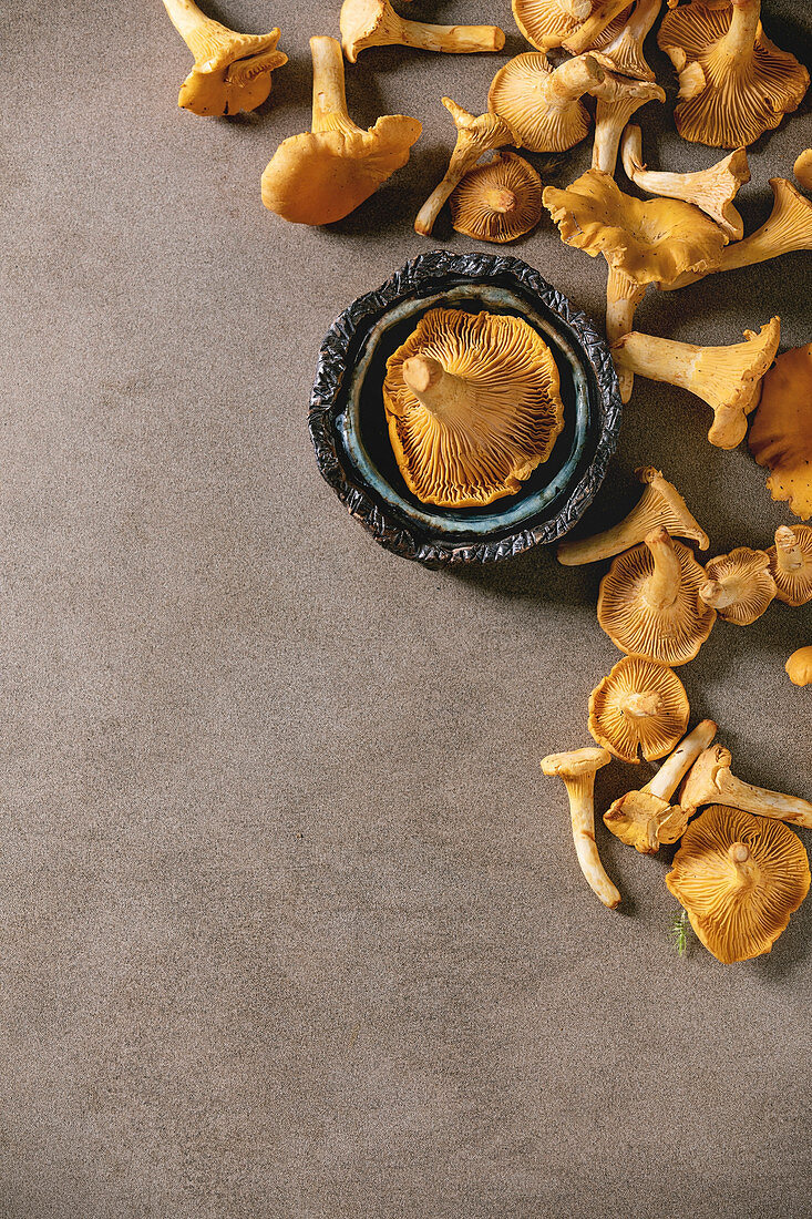 Forest chanterelle mushrooms, raw uncooked, with ceramic bowl