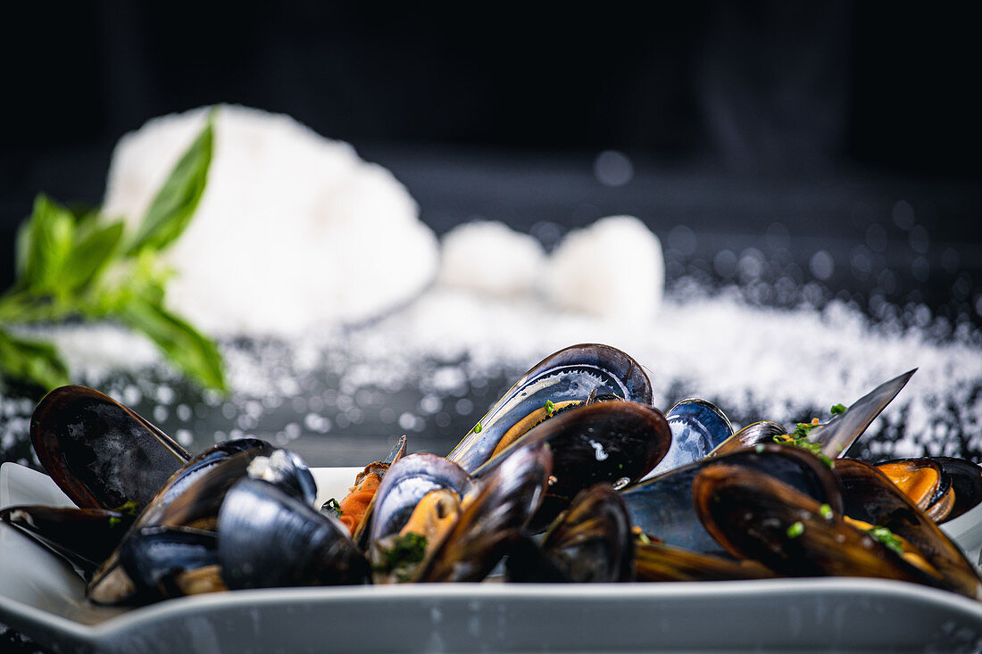 Steamed mussels with Thai sauce in white plate