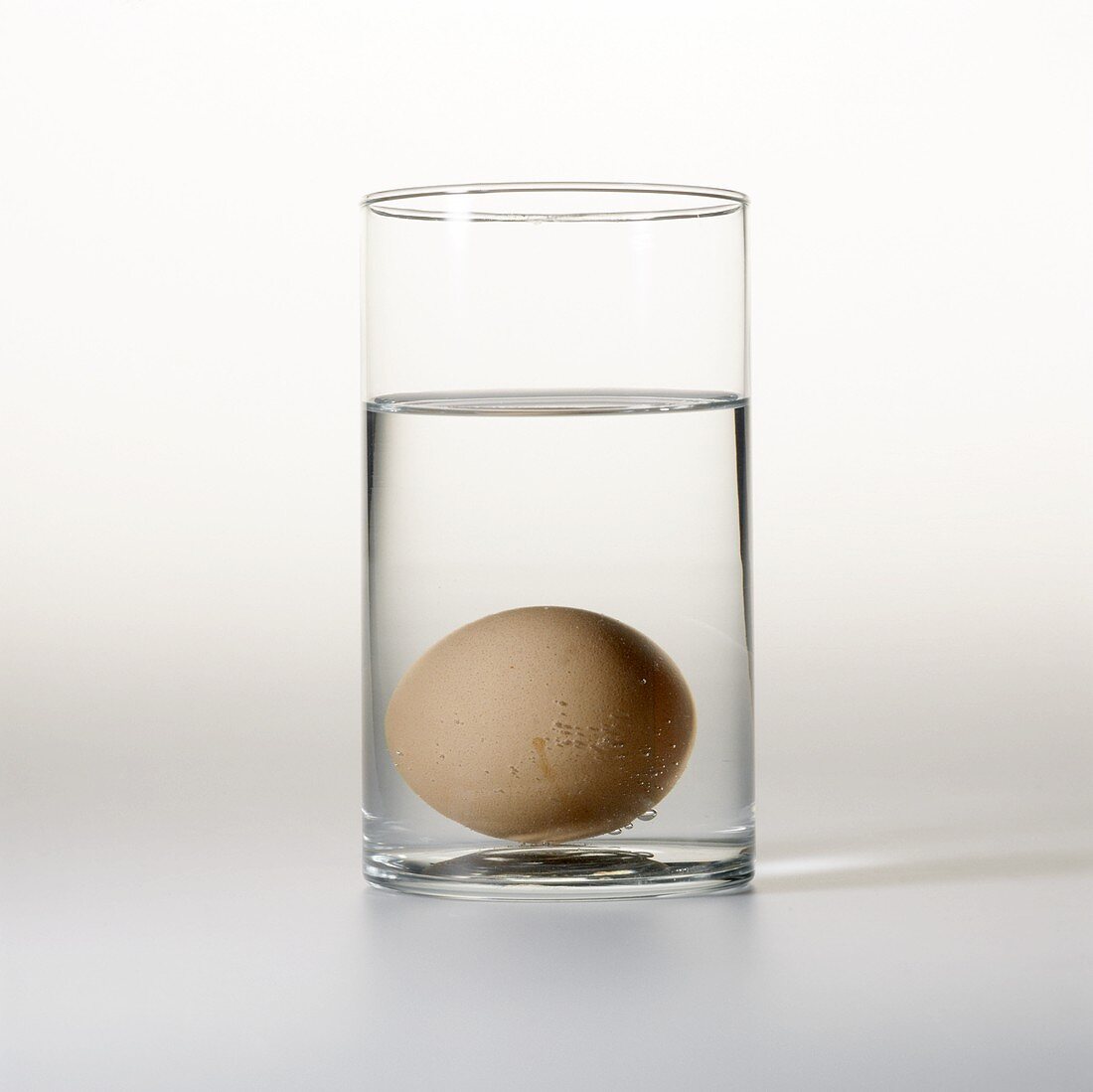 Frisches Ei auf Boden eines Wasserglases (Frischetest)