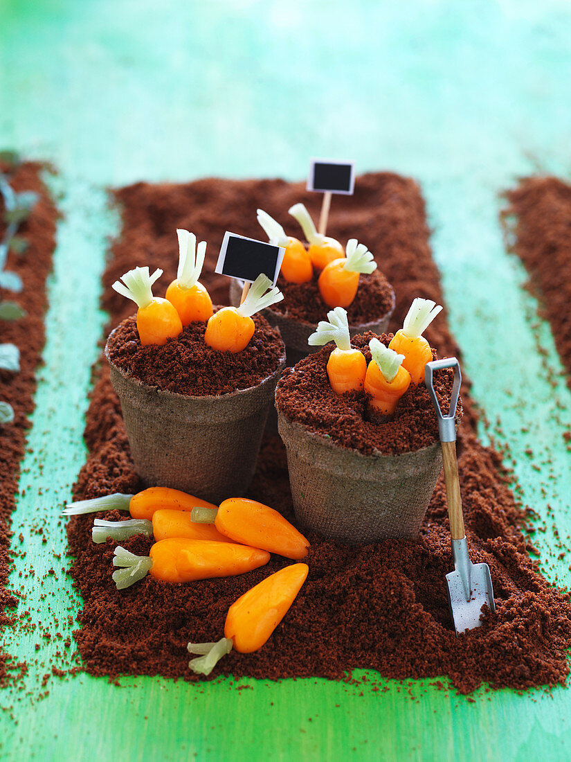 'Ripe carrots in a pot' cake