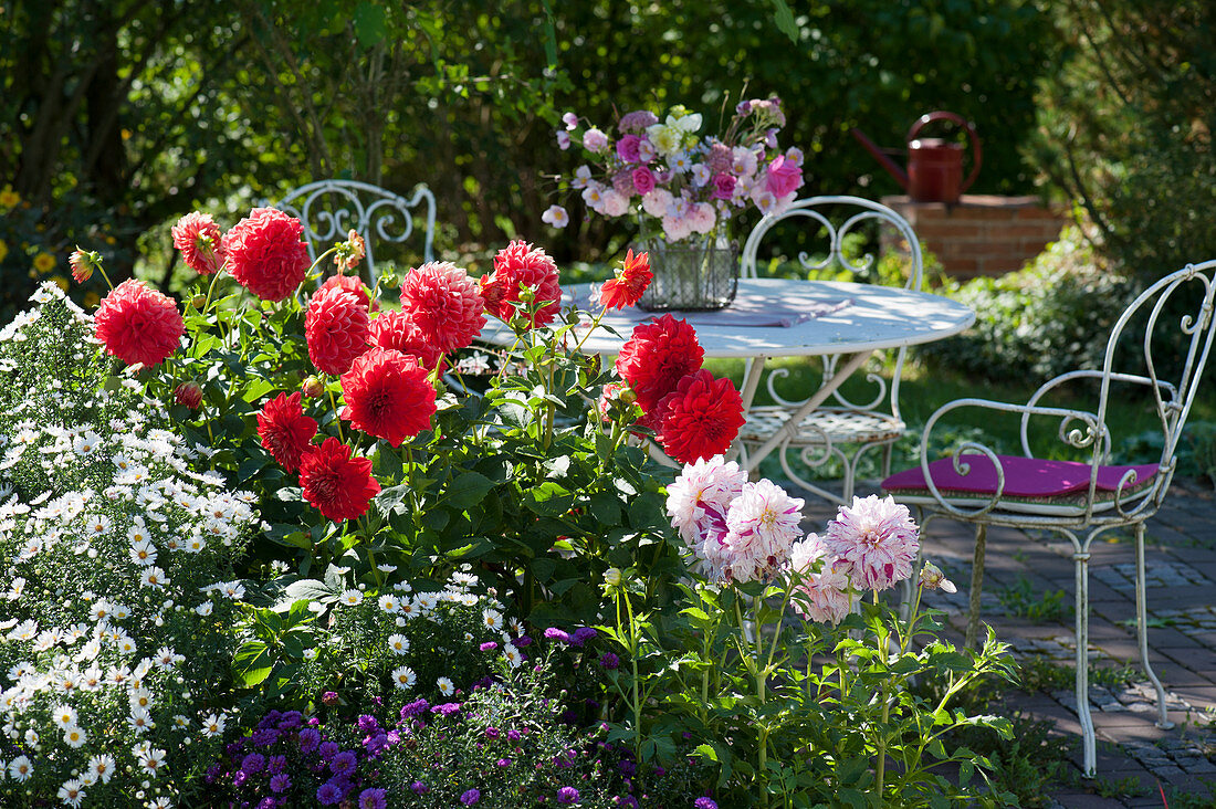 Sitzgruppe am Beet mit Herbstastern und Dahlien