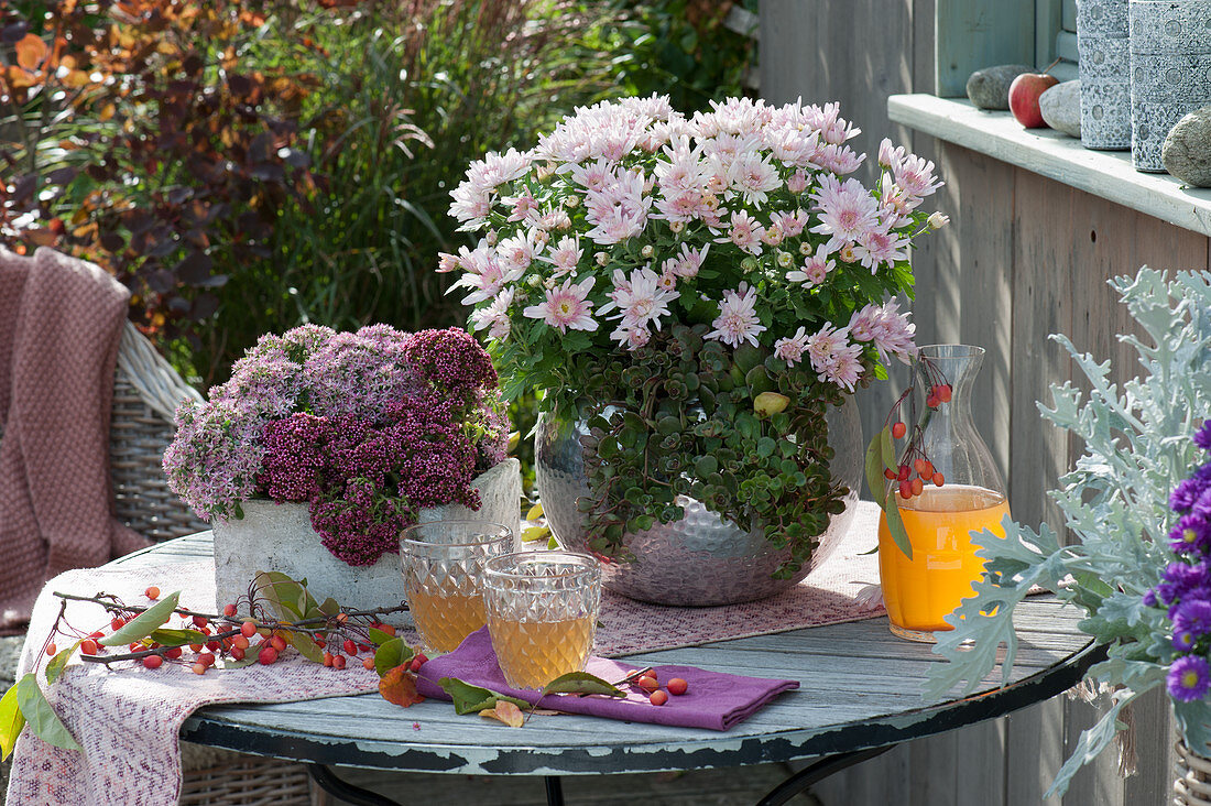 Chrysanthemum 'Rico Apricot', sedum hybridum 'Superstar' 'Pure Joy', crabapple branch, decanter, and glasses with apple juice