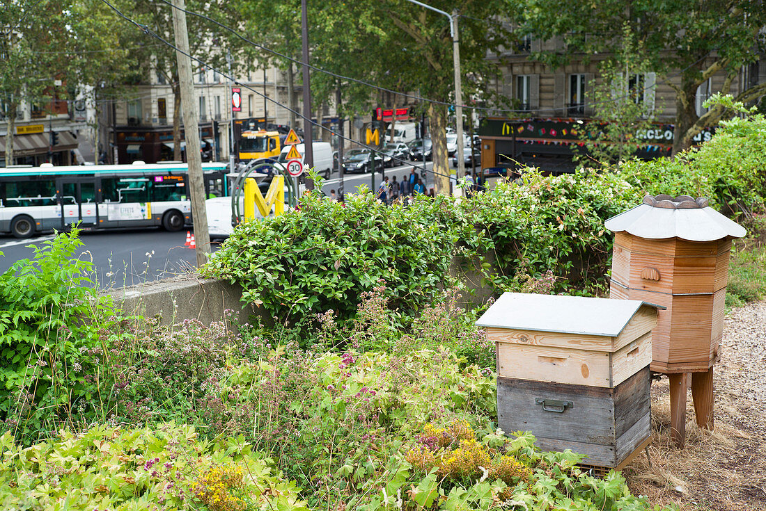 Bee hives on a rooftop, Paris, France