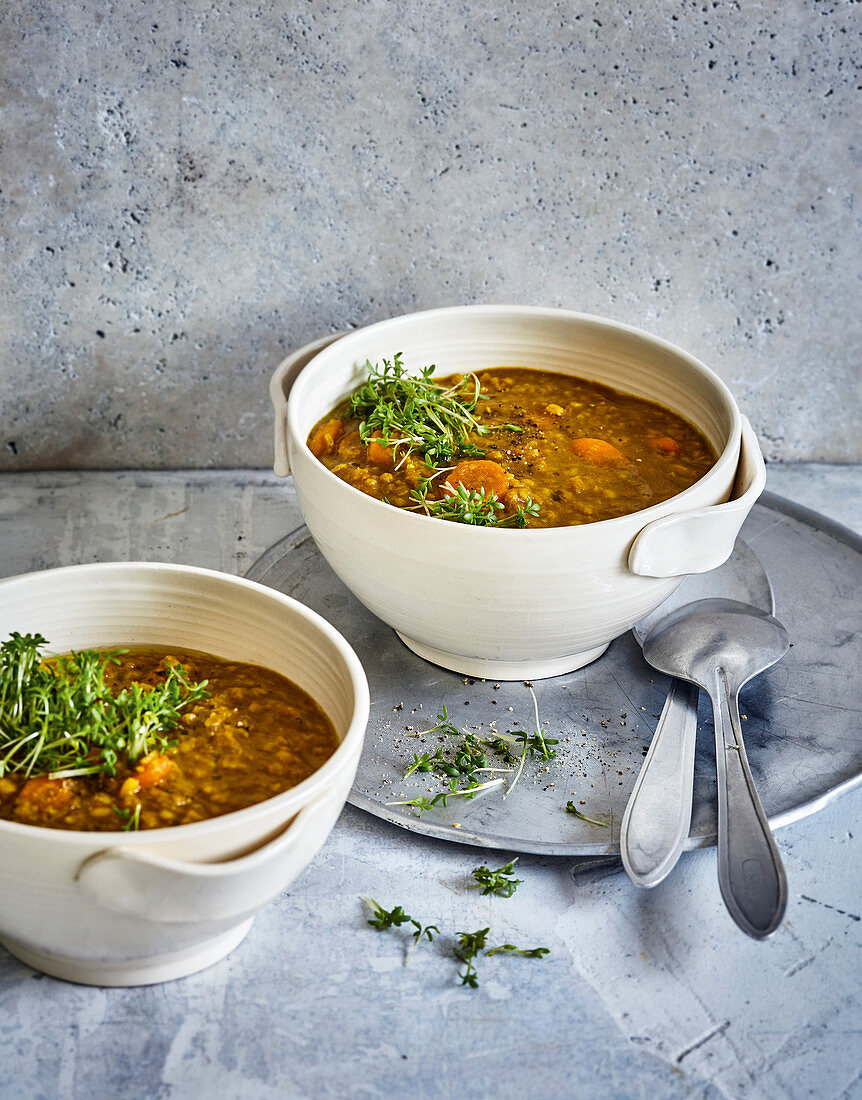 Ayurvedic mung bean soup