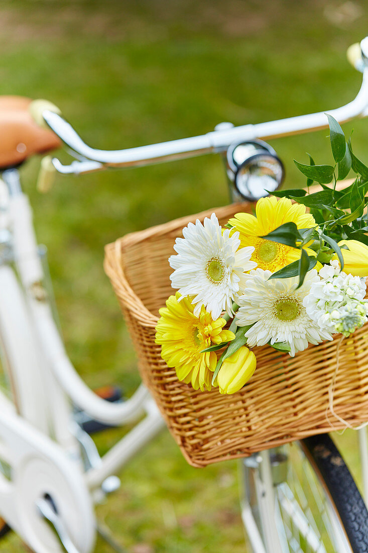 White And Yellow Summer Flowers In License Images 12983678 Stockfood