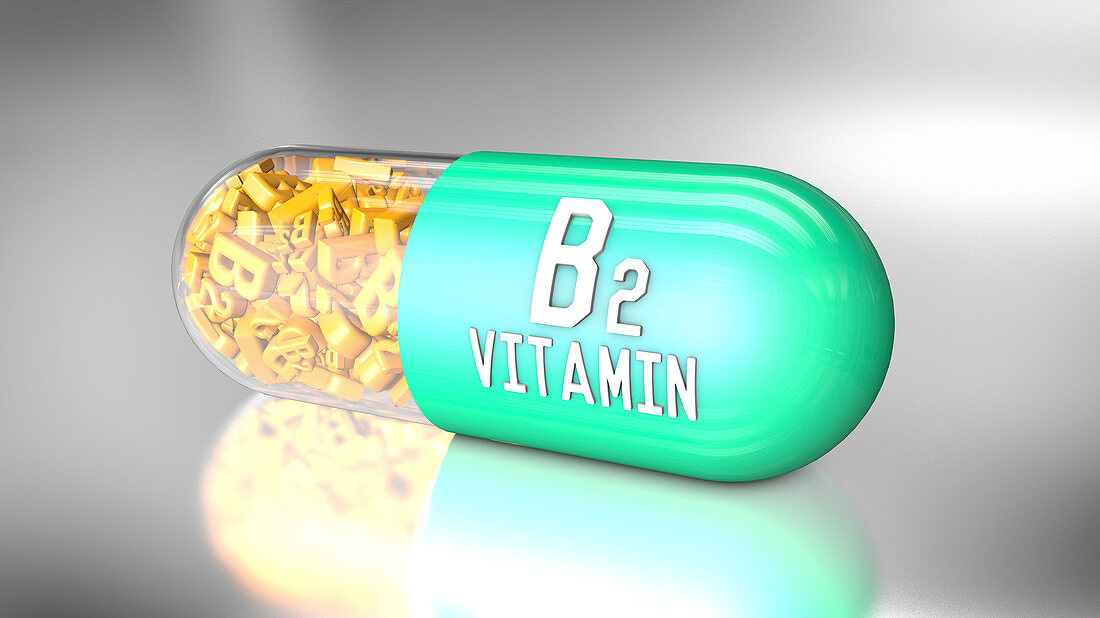 Vitamin B2 capsule, illustration