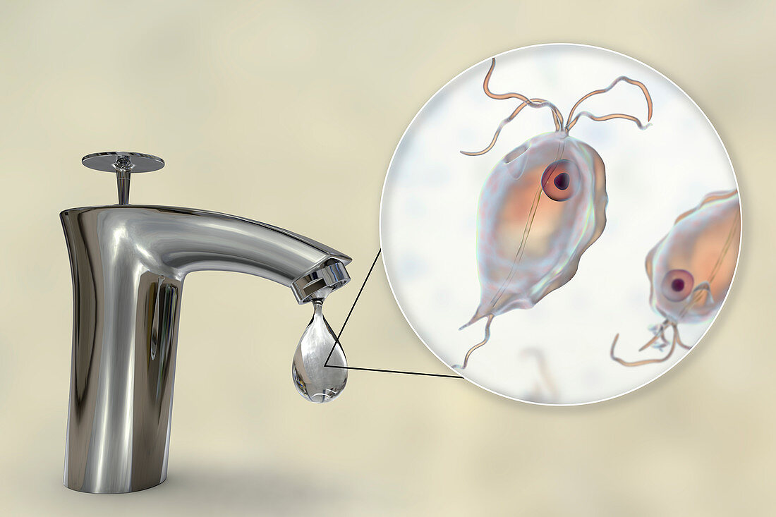 Safety of drinking water, conceptual illustration