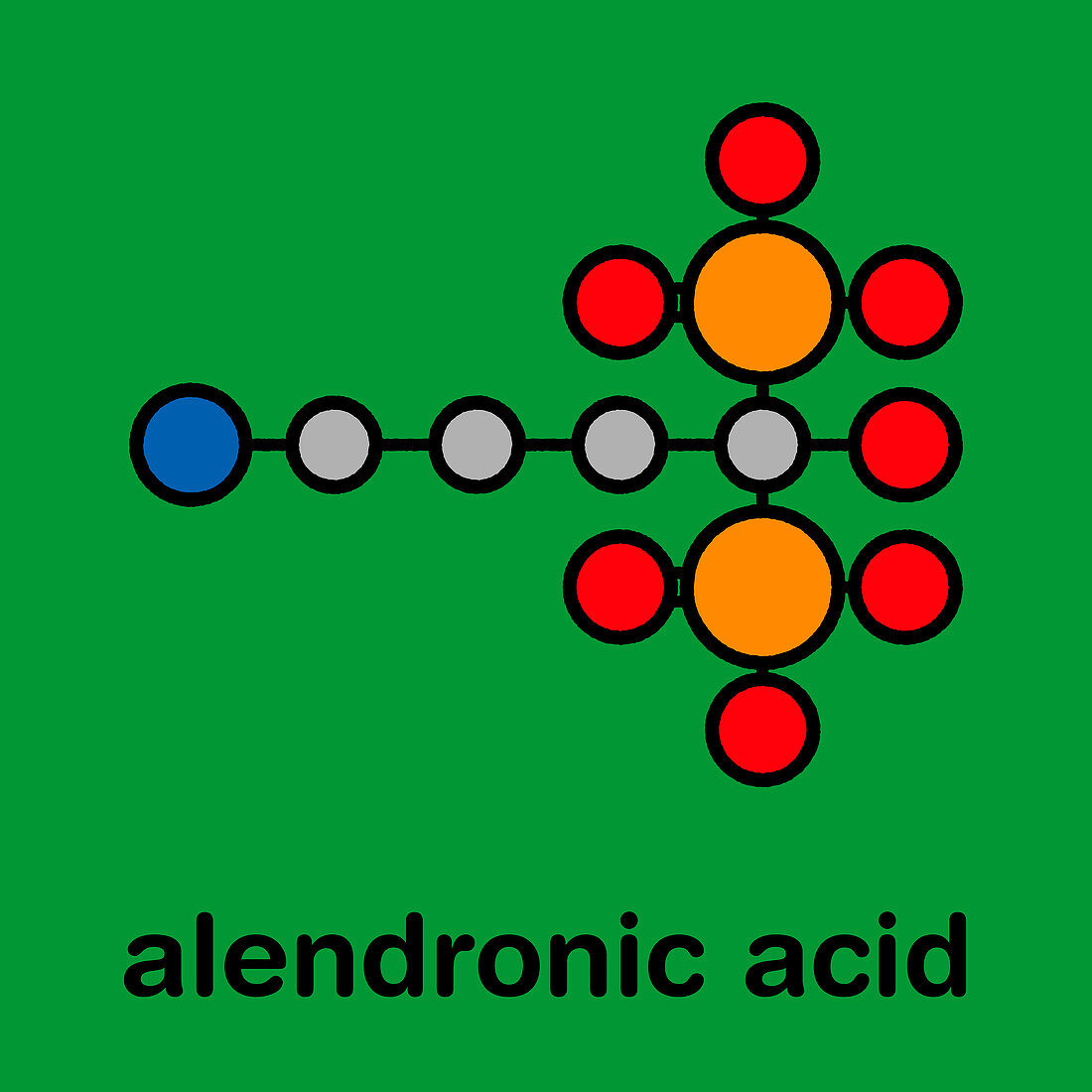 Alendronic acid osteoporosis drug, molecular model