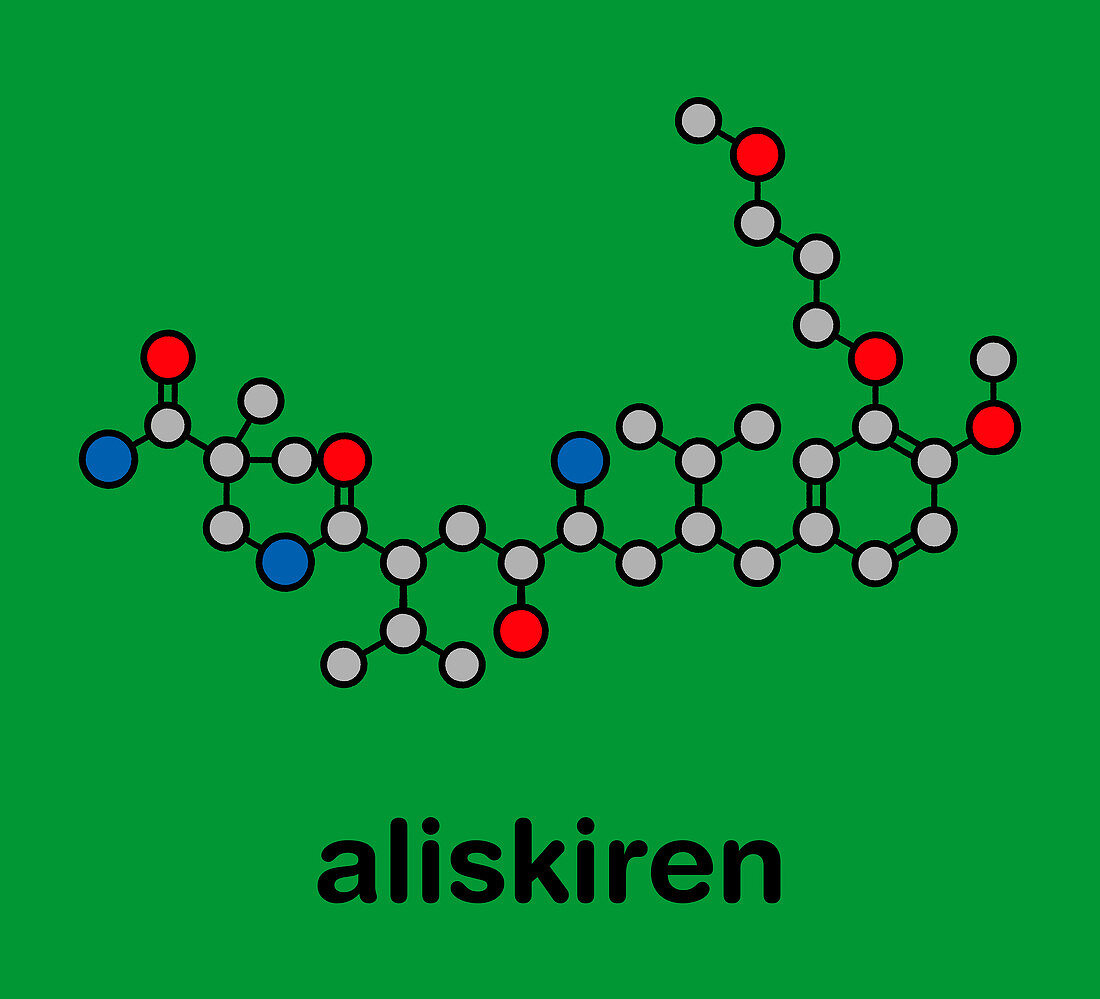 Aliskiren high blood pressure drug, molecular model