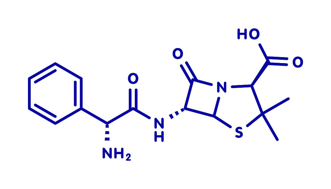 Ampicillin beta-lactam antibiotic drug, molecular model