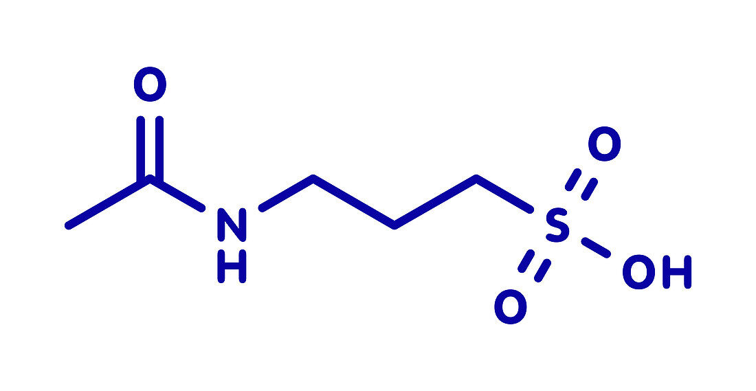 Acamprosate alcoholism drug, molecular model