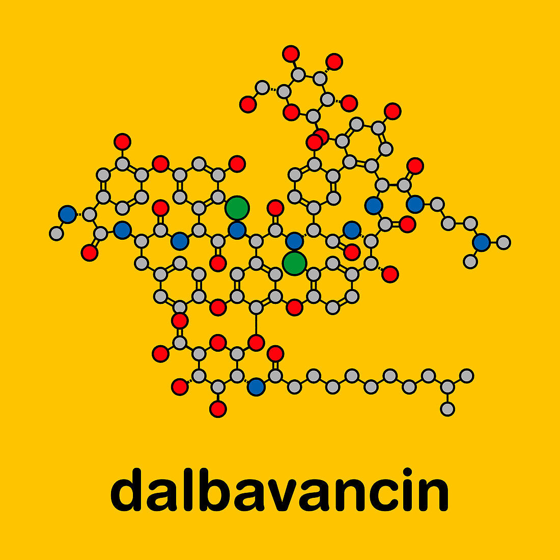 Dalbavancin glycopeptide antibiotic drug, molecular model