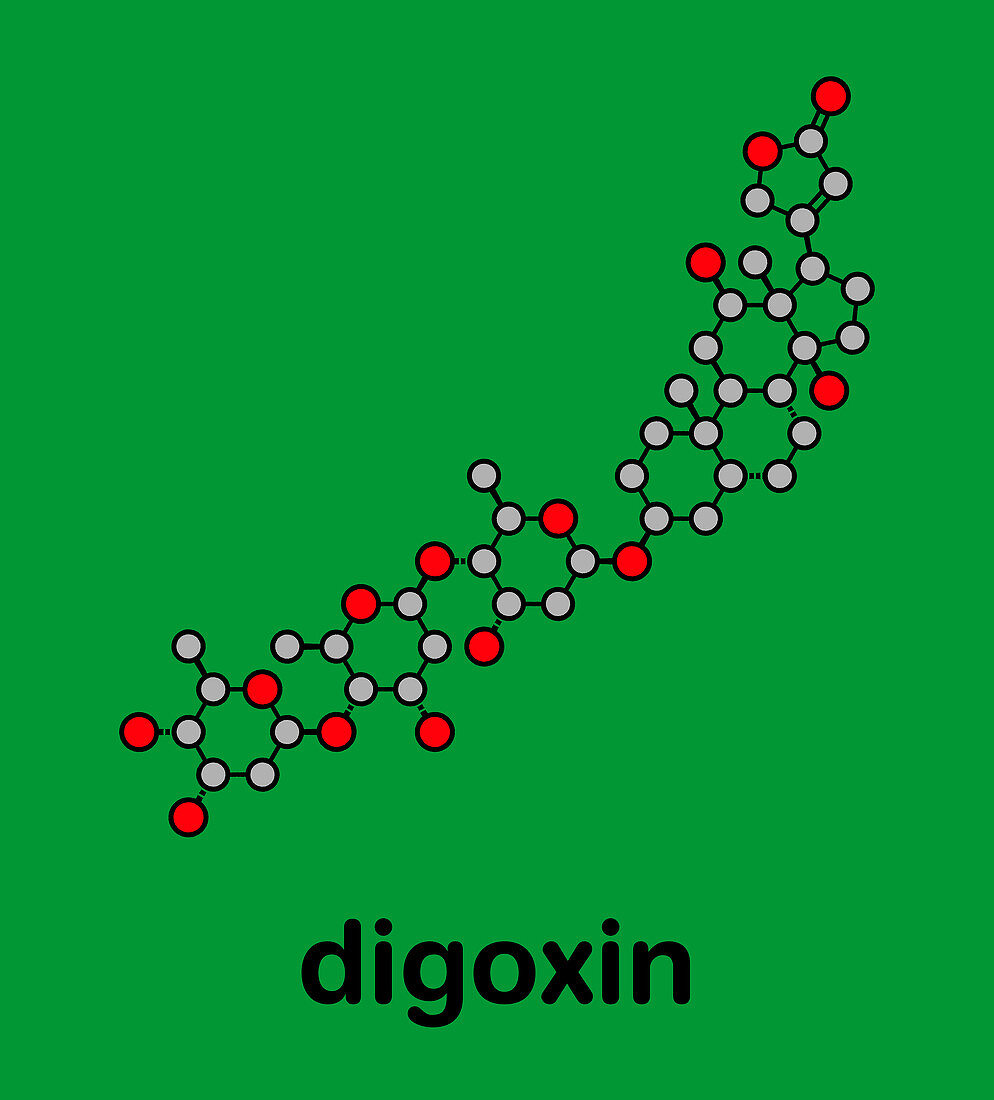 Digoxin heart failure drug, molecular model