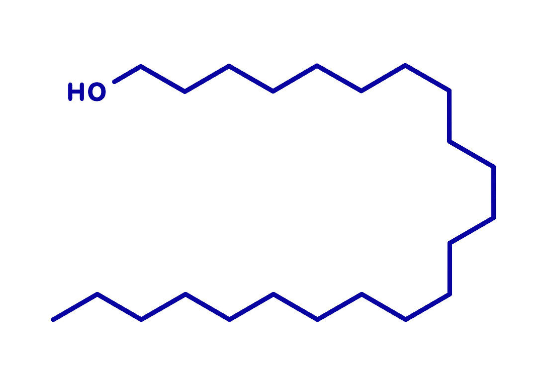 Docosanol antiviral drug, molecular model