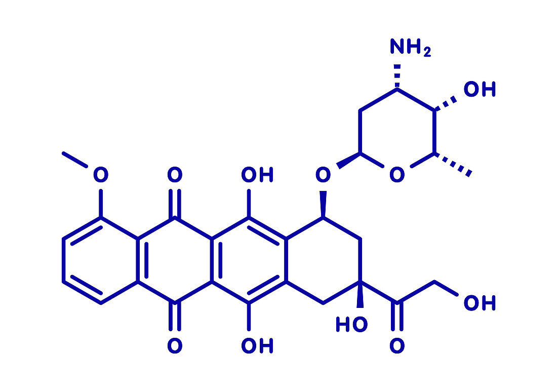 Doxorubicin chemotherapy drug, molecular model