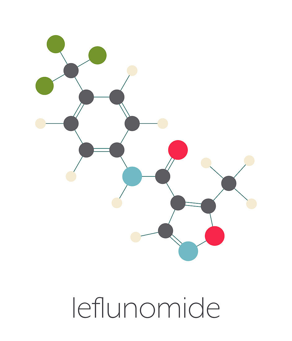 Leflunomide rheumatoid arthritis drug, molecular model