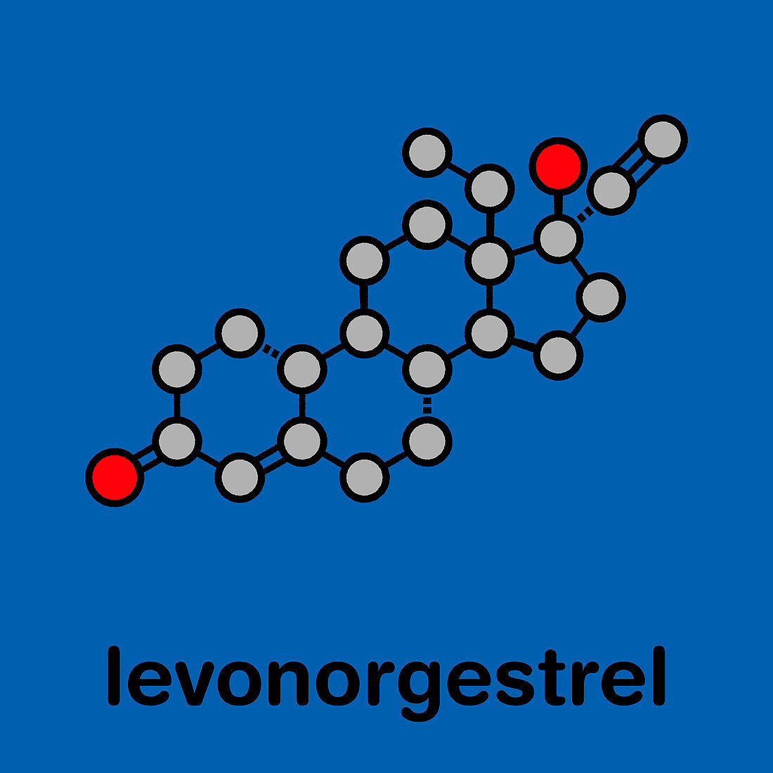 Levonorgestrel contraceptive pill drug, molecular model
